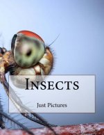Insects