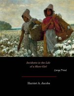 Incidents in the Life of a Slave Girl: Large Print
