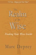 The Realm of the Wise: Finding Your Wise Guide