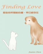 Finding Love: Love is in the air.