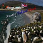 Amazing Falkland Islands