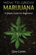 How to Grow Marijuana: A Simple Guide for Beginners