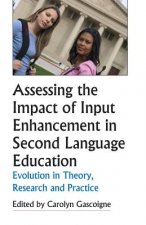 Assessing the Impact of Input Enhancement in Second Language Education: Evolution in Theory, Research and Practice