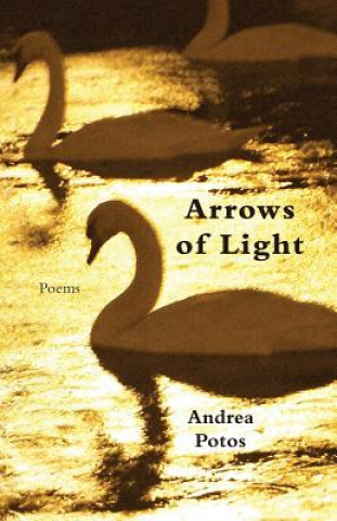 Arrows of Light