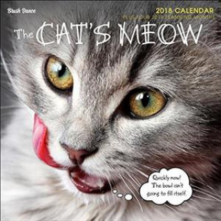 Cat's Meow Mini Calendar