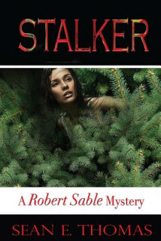 Stalker: [A Robert Sable Mystery Book 3]