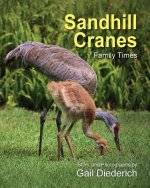Sandhill Cranes, Family Times