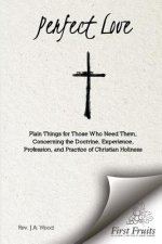 Perfect Love: Plain Things For Those Who Need Them, Concerning the Doctrine, Experience, Profession, and Practice of Christian Holin