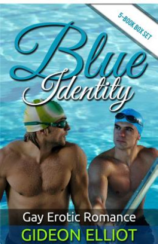 Blue Identity: Gay Romance Erotica