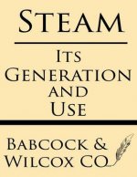 Steam: Its Generation and Use