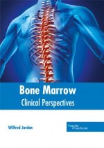 Bone Marrow: Clinical Perspectives