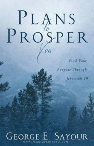 Plans to Prosper You: Find Your Purpose Through Jeremiah 29