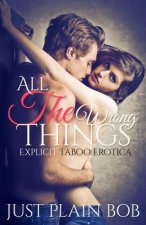 All The Wrong Things: Explicit Taboo Erotica