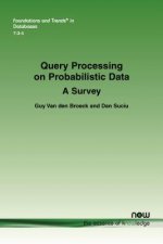 Query Processing on Probabilistic Data