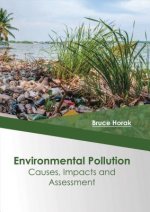 Environmental Pollution: Causes, Impacts and Assessment