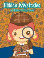 Hidden Mysteries
