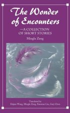 The Wonder of Encounters: A Collection of Short Stories