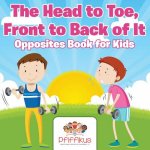 Head to Toe, Front to Back of It Opposites Book for Kids