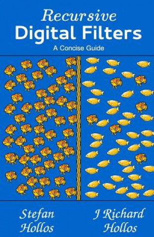 Recursive Digital Filters: A Concise Guide