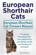 European Shorthair Cats. European Shorthair Cat Owners Manual. European Shorthair Cats care, personality, grooming, health and feeding all included.