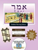 Bar/Bat Mitzvah Survival Guides: Emor (Shabbat am)
