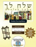 Bar/Bat Mitzvah Survival Guides: Shelah Leha (Shabbat am)