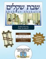 Bar/Bat Mitzvah Survival Guides: Shabbat Shekalim (Shabbat am Maftir & Haftarah)