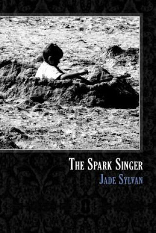 The Spark Singer