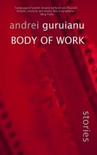 Body of Work: and other stories