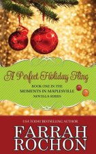 A Perfect Holiday Fling