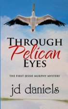 Through Pelican Eyes