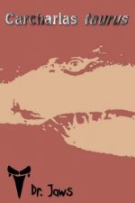 Carcharias taurus: A series by the creator of Dr. Jaws