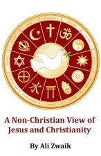A Non-Christian View of Jesus and Christianity: Large Print Edition