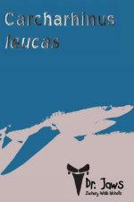 Carcharhinus leucas