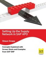 Setting Up the Supply Network in SAP Apo