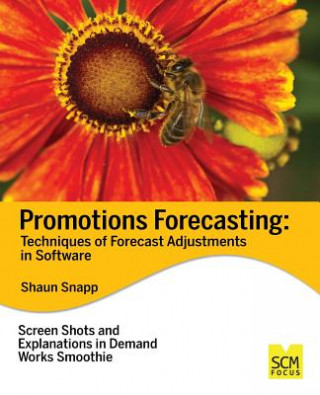 Promotions Forecasting: Forecast Adjustment Techniques in Software