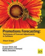 Promotions Forecasting: Forecast Adjustment Techniques in Software