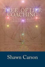 Tree of Life Coaching: Practical Secrets of the Kabbalah for Coaches and Hypnosis and NLP Practitioners