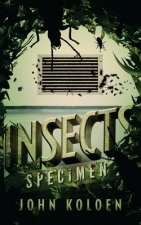 Insects: Specimen