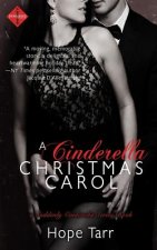 A Cinderella Christmas Carol