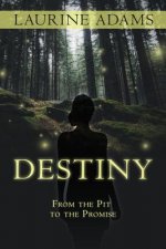 Destiny: From the Pit to the Promise