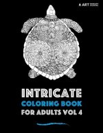 Intricate Coloring Book For Adults Vol 4