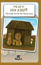 T'nishwa Lij'na Sostu An'Besoch - The Little Girl and The Three Lions - Amharic Children Book