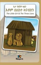 N'EshTey Gu'Aln Seleste A'nabsN - The Little Girl and The Three Lions - Tigrinya Children Book