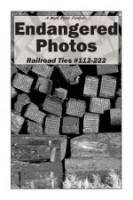 Endangered Photos: Railroad Ties #112-222