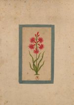 Carnet Ligné Fleur 1, Miniature Indienne 18e Si?cle