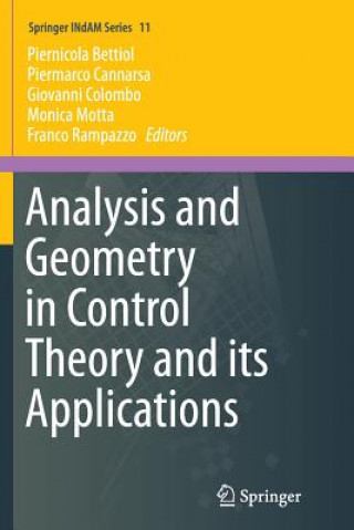 Analysis and Geometry in Control Theory and its Applications