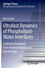 Ultrafast Dynamics of Phospholipid-Water Interfaces