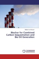Biochar for Combined Carbon Sequestration and Bio Oil Generation