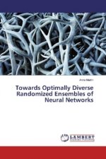 Towards Optimally Diverse Randomized Ensembles of Neural Networks